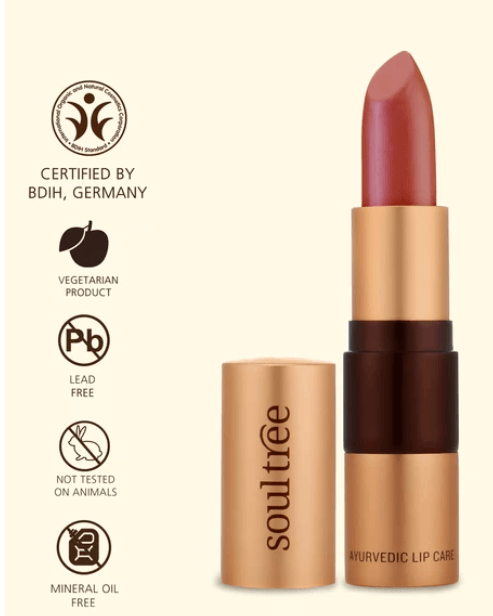 soultree lipstick organic makeup brands